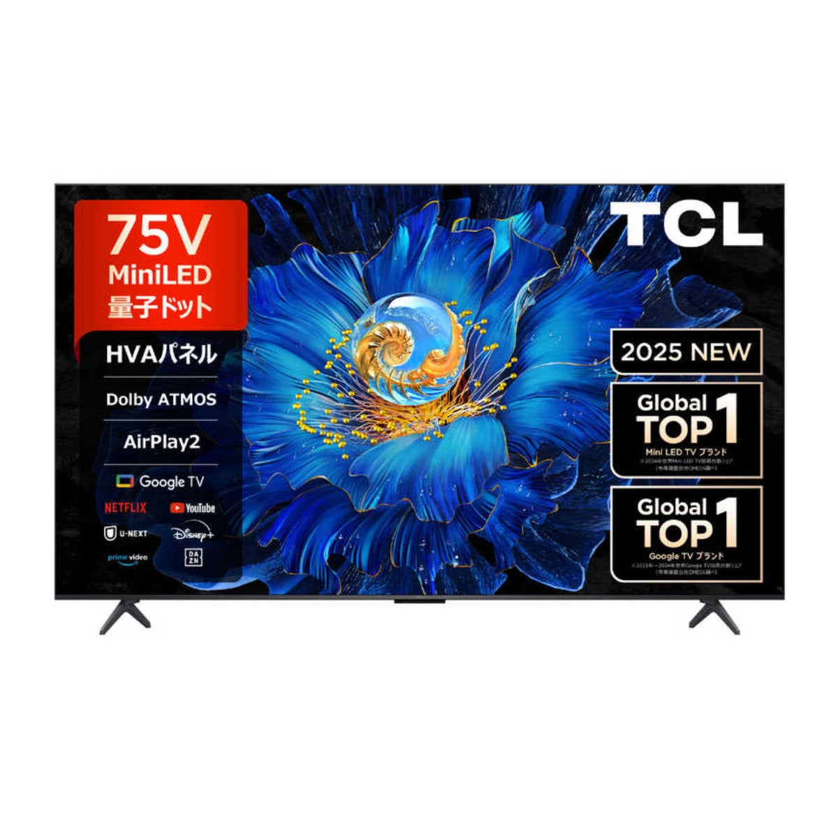 75C6KS [75�C���`]