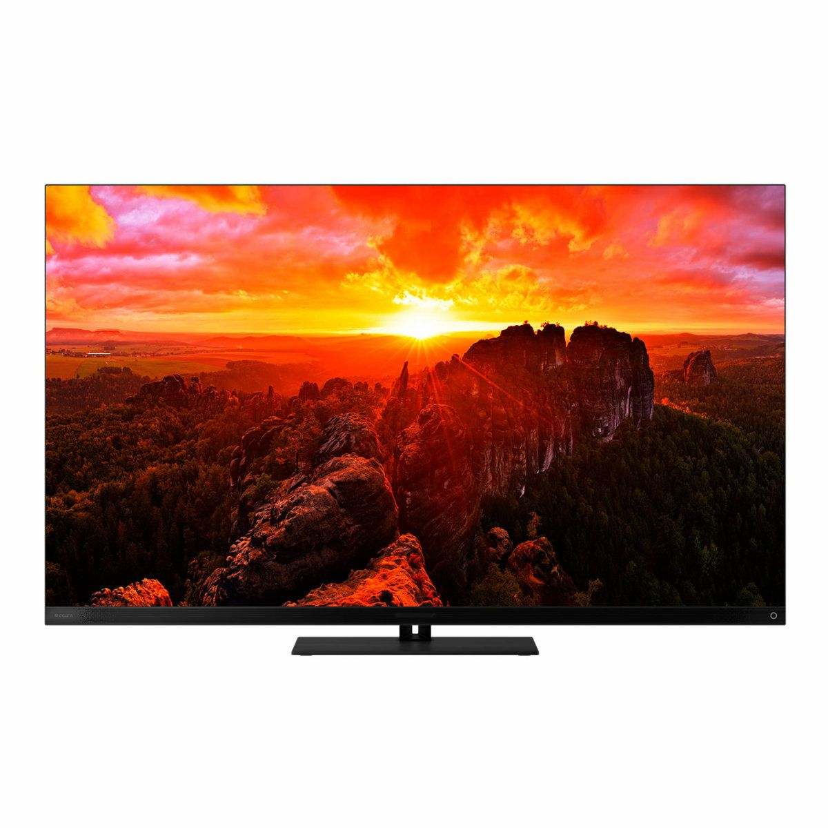 有機ELテレビ TVS REGZA 55X9900N □□4 | アーチホールセール